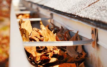Laymore gutter cleaning companies