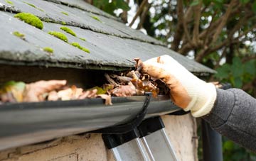 gutter cleaning Laymore, Dorset