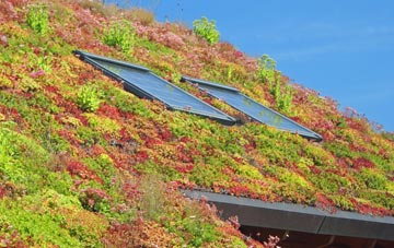 Laymore living roof systems