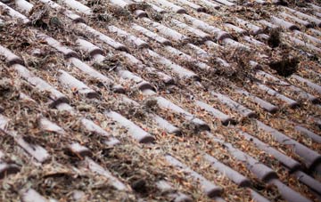 Laymore roof cleaning companies